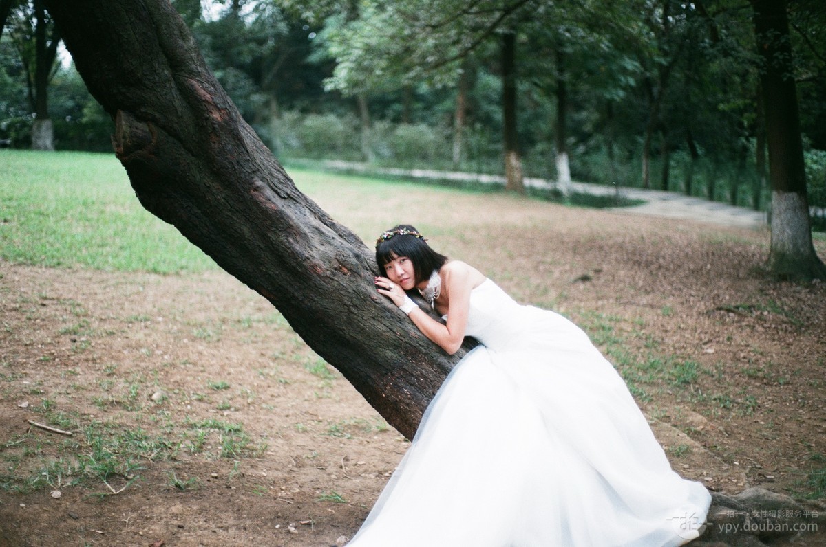 单人婚纱照图片_婚纱照图片